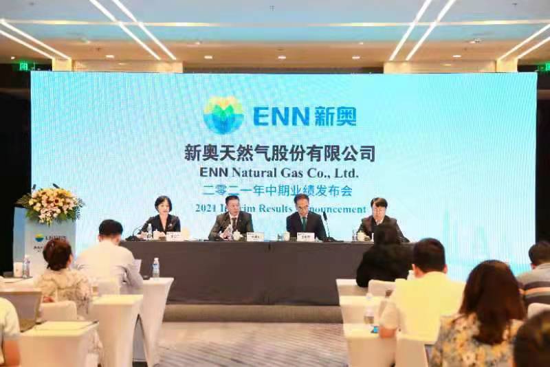新奥时代，探寻2021年的新机遇与挑战，新奥时代下的新机遇与挑战，探寻2021年发展趋势
