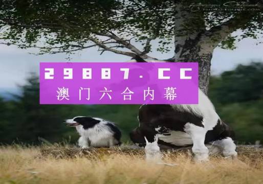 2025澳门精准正版免费大全年资料75期，澳门正版资料全年免费大全年历75期预测