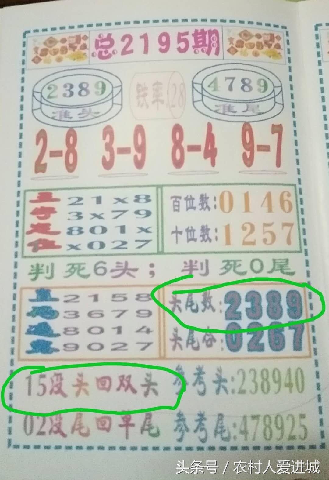 新澳门十码中特期期准——揭秘彩票预测的真相，揭秘新澳门十码彩票预测真相，期期准确的秘密探究