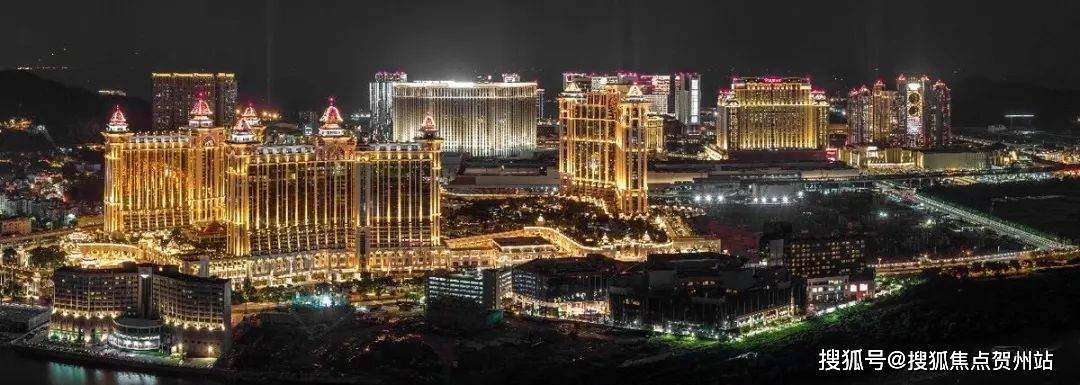 澳门一肖一码期期准资料官方APP，澳门一肖一码期期准资料官方APP，精准预测与权威数据来源