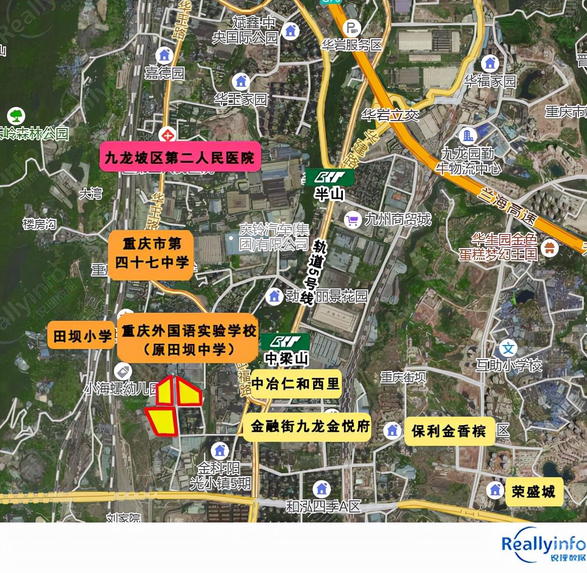 迈向未来，2025年正版资料免费大全网站展望，迈向未来，2025年正版资料免费大全网站展望与趋势分析