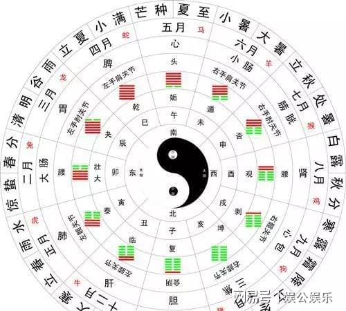 澳门一码一肖一待一中四不像图片2025，探索与解析，澳门一码一肖一待一中四不像图片揭秘与解析 2025版