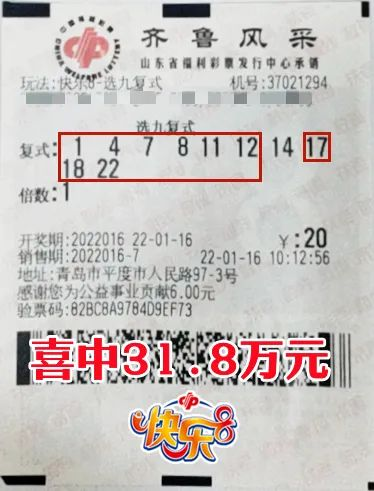 揭秘新奥全部开奖记录查询，复式二中二深度解析，揭秘新奥开奖全记录与复式二中二深度解析