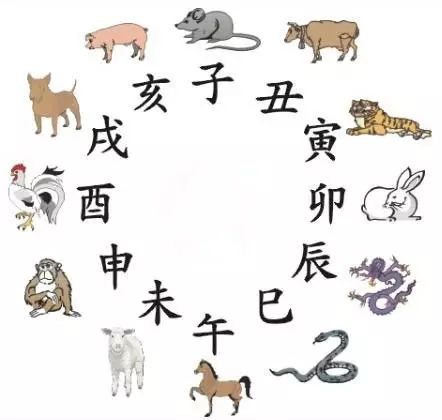 澳门天天彩期期精准十二生肖，澳门天天彩期期精准十二生肖预测