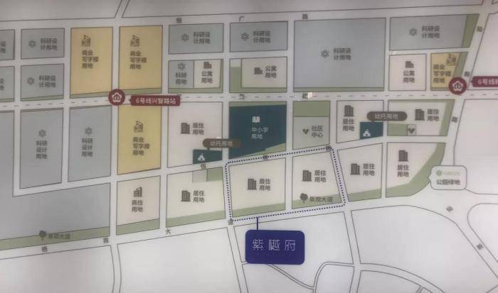 新港门内部资料精准大全揭秘，新港门内部资料揭秘，精准大全呈现