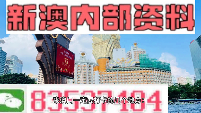 新澳门最精准正最精准龙门，澳门最新精准龙门预测
