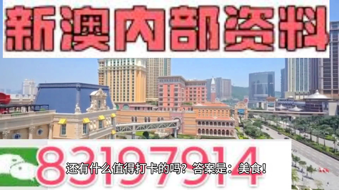 新澳门精准免费公开内容，探索与解读，澳门最新公开内容解读与探索