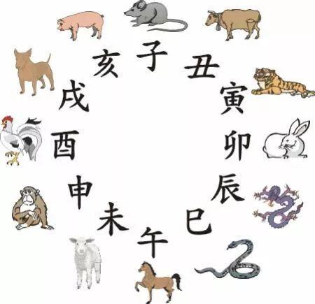 揭秘今天三合生肖是什么？神秘力量助你运势飞升！，揭秘今日三合生肖，神秘力量加持，运势飞升！