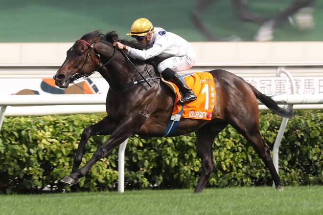 香港马资料更新最快的香，香港最新马匹资料更新速递
