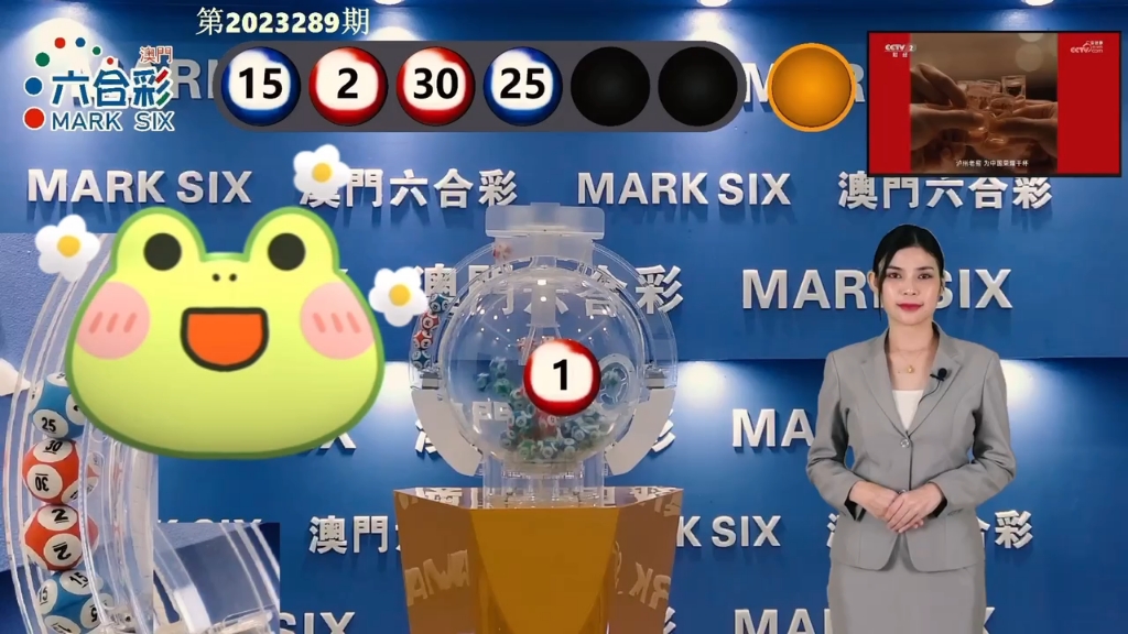 新澳门二四六天天开奖结果是什么，澳门二四六最新开奖结果揭秘