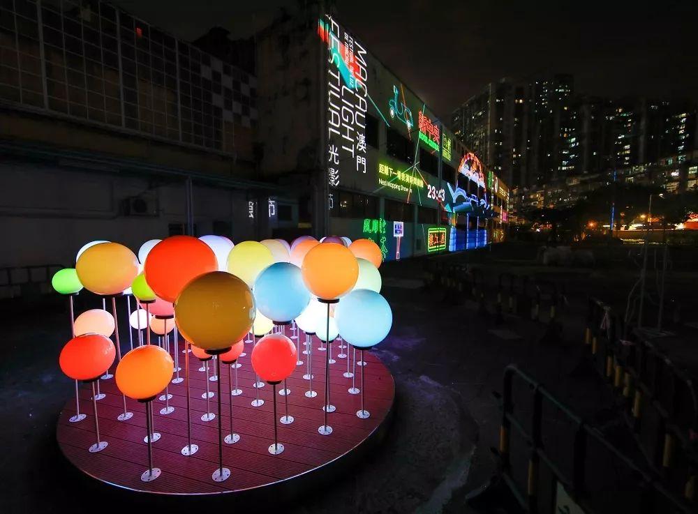 深度解析，2020年澳门版跑狗图第233期，澳门跑狗图第233期深度解析报告
