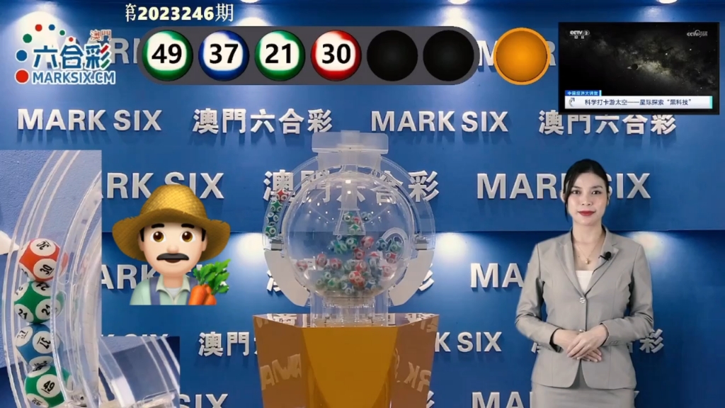 新澳利澳门开奖历史结果概览，澳门新澳利开奖历史结果一览
