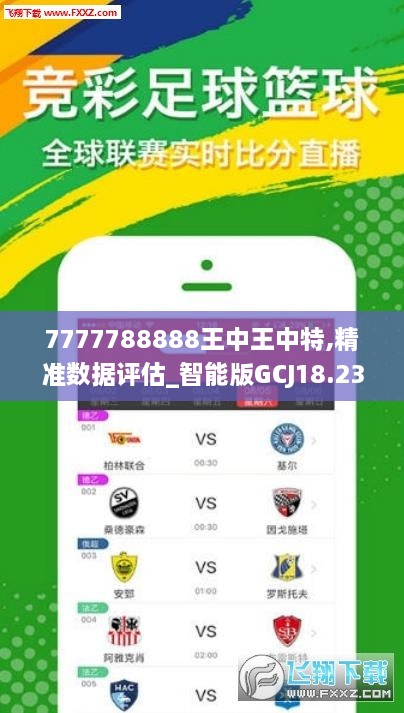 王中王72396开奖号码，王中王72396开奖号码揭晓