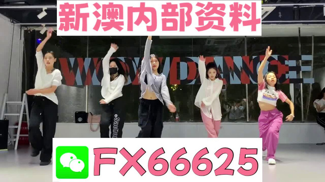 新奥资料网站2024，新奥资料网站2024概览