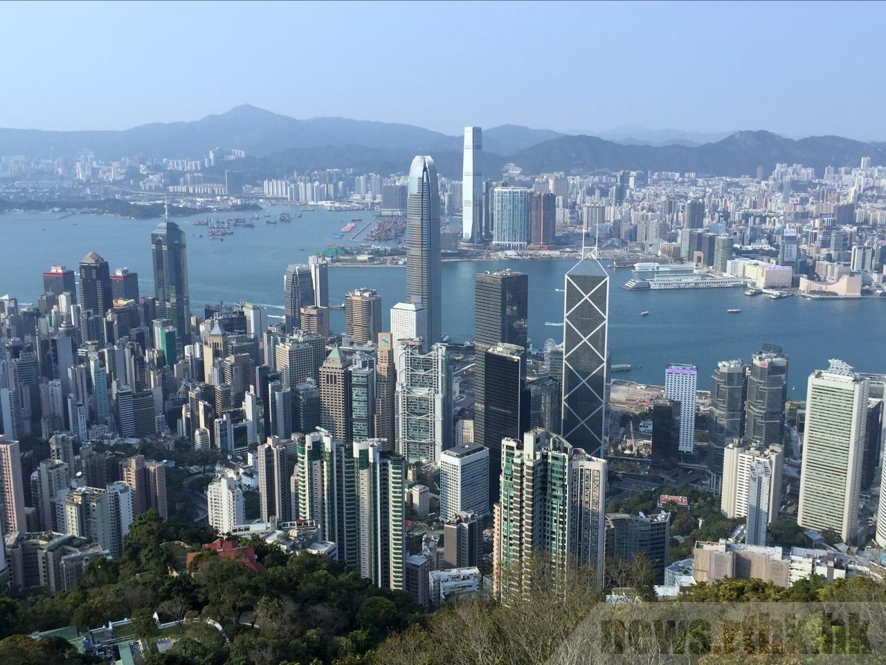香港免费大全资料大全，香港免费资料大全全收录