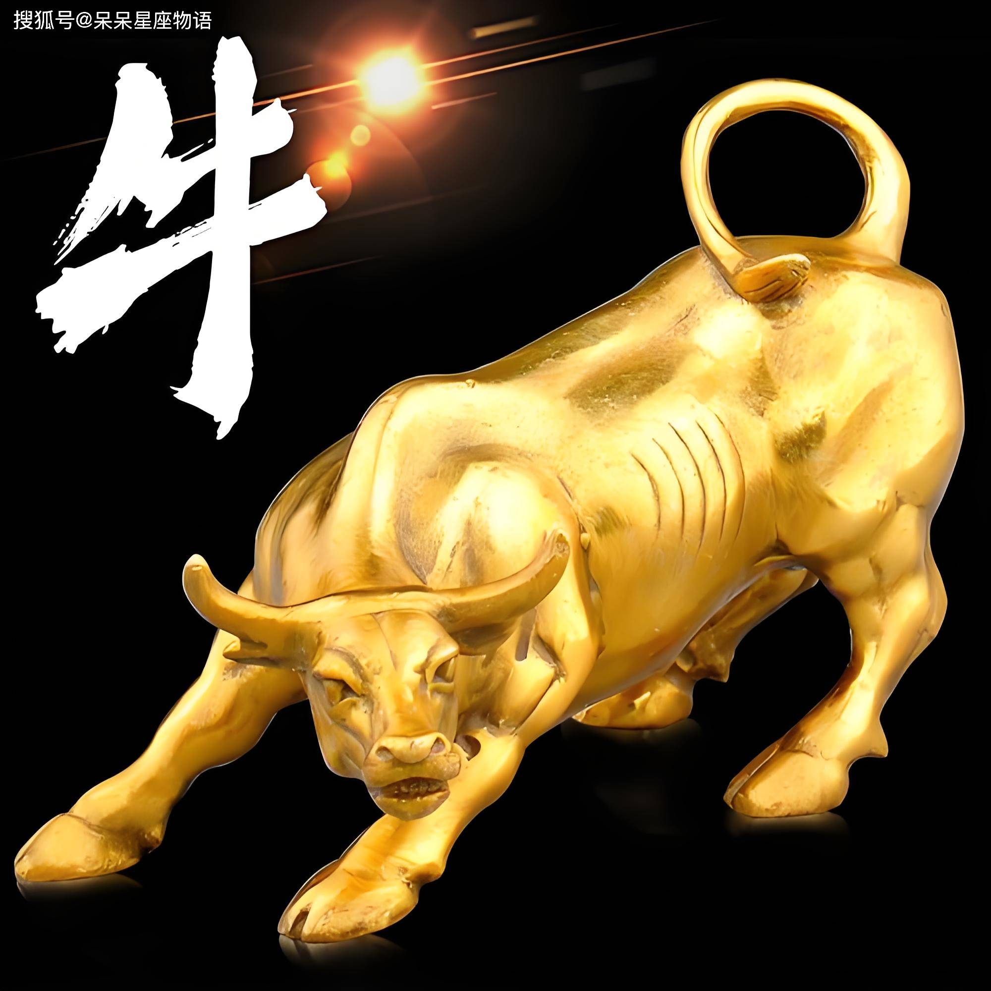 841995论坛网站2017年841995金牛，841995论坛网站金牛风采，回顾与前瞻