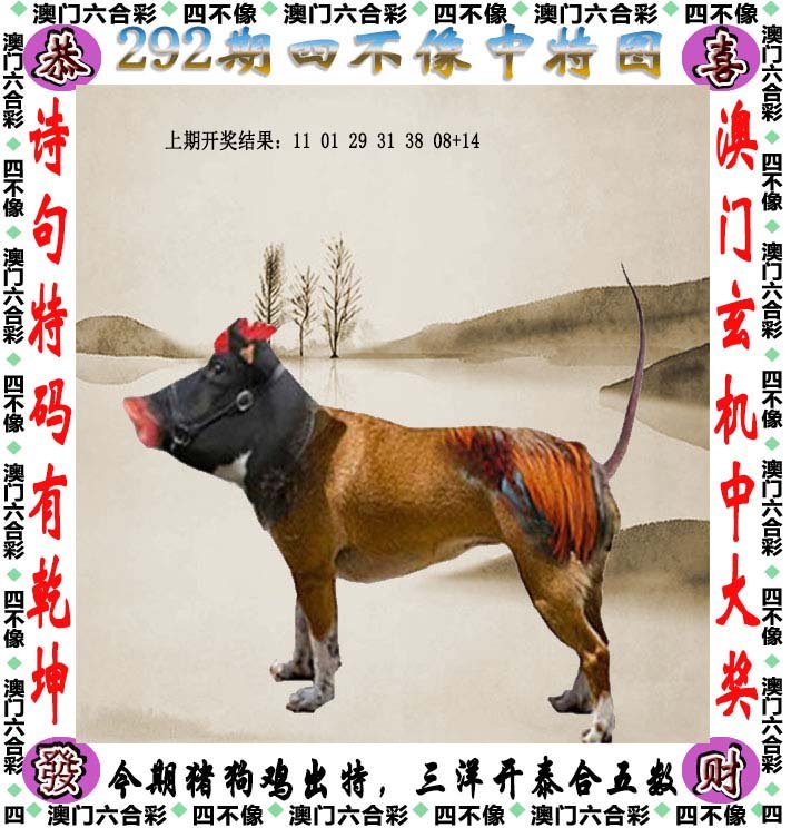 揭秘四不像，如何慧眼识真，买中潜力股，揭秘四不像，慧眼识潜力股，投资不迷路
