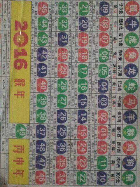 2024十二生肖49码表图