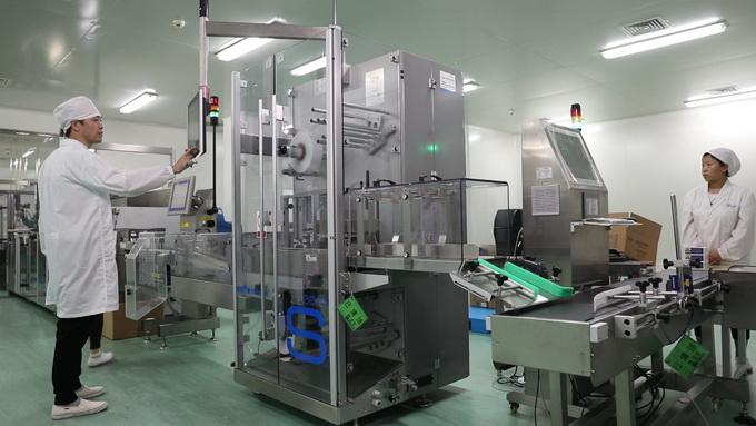 2025年全年综合资料，2025全年综合资料概览