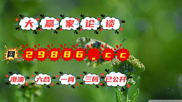 白小姐四不像一肖开奖的神秘面纱，白小姐四不像一肖开奖的神秘面纱揭晓