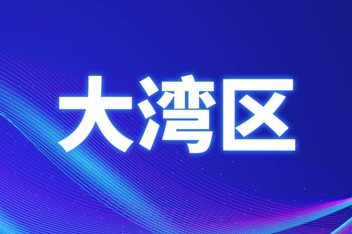 hualu 第11页