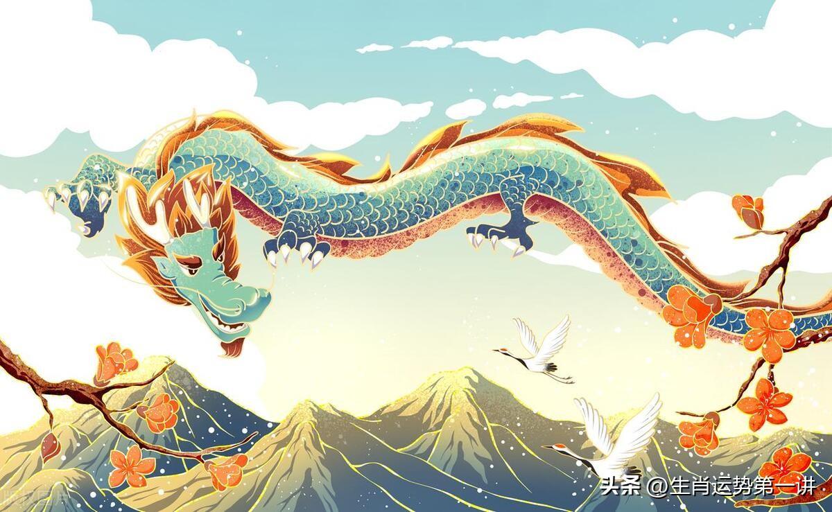 揭秘2025年十二生肖号码，揭秘，2025年十二生肖号码预测
