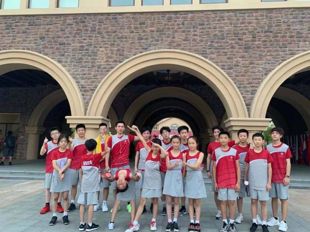 揭秘二四六香港管家婆生肖表，揭秘香港管家婆生肖表二四六版