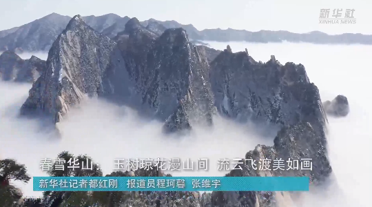 澳门最精准正最精准龙门，澳门精准龙门预测