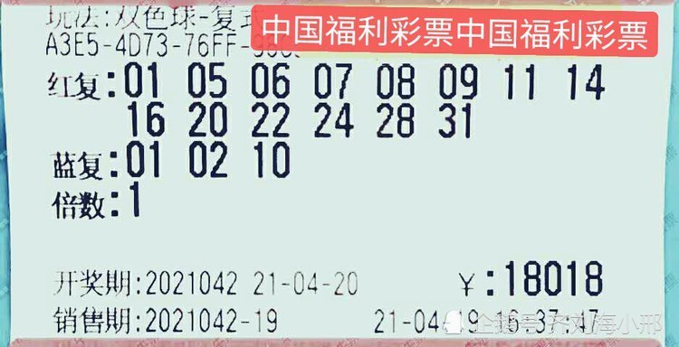 linyixia 第10页