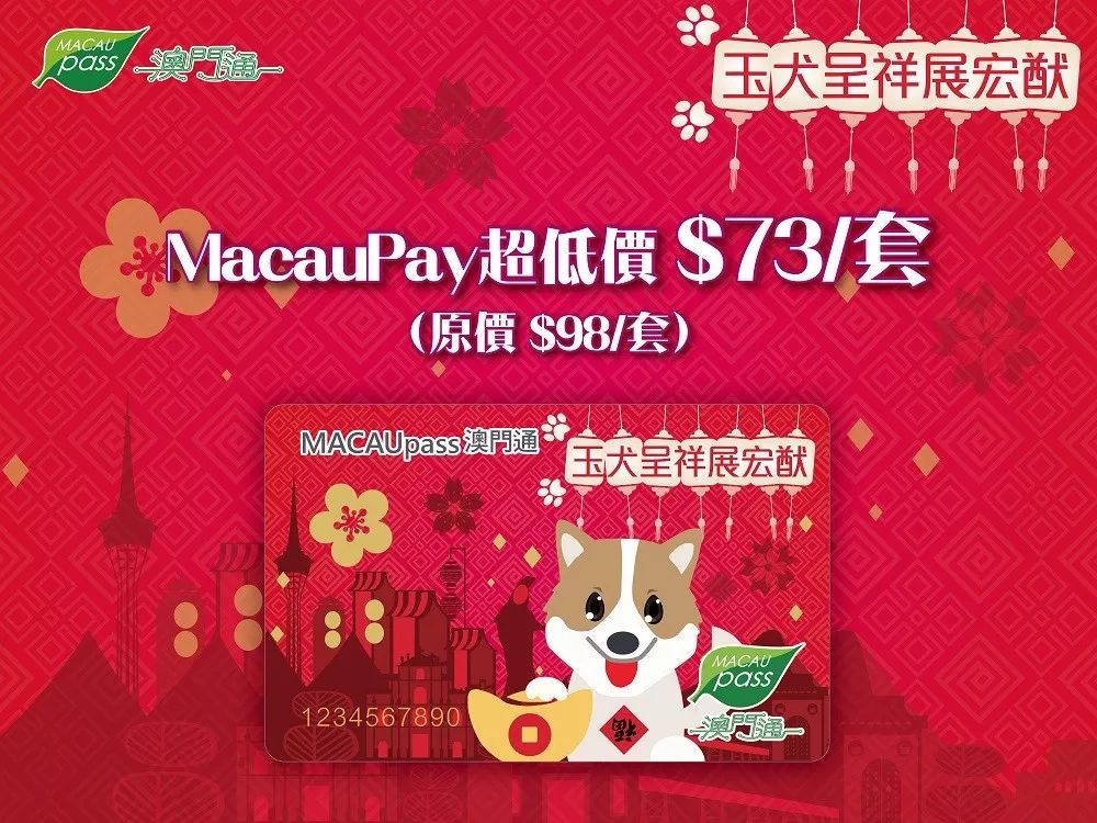 澳门正版资料大全资料生肖卡，澳门正版资料大全，生肖卡全收录