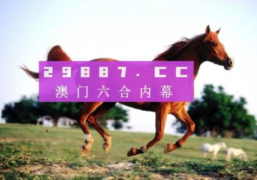 澳门一肖一码一特一中，澳门一肖一码精准预测特中之选