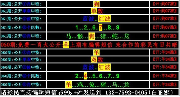 一肖特中平，平凡中的非凡魅力，平凡中的非凡魅力，一肖特中平的风采