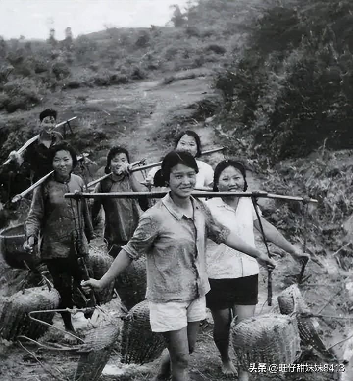 免费下载49图库