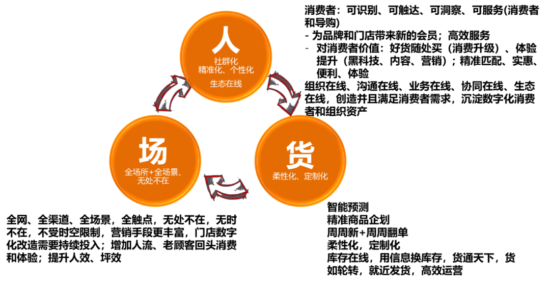 揭秘7777788888精准四肖的神秘面纱，揭秘精准四肖的神秘面纱，77777与88888的奥秘