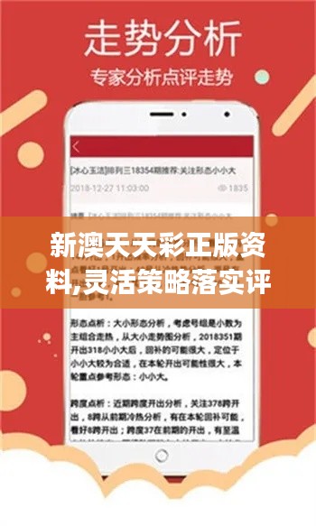新澳天天开奖资料单双，新澳天天开奖资料单双汇总