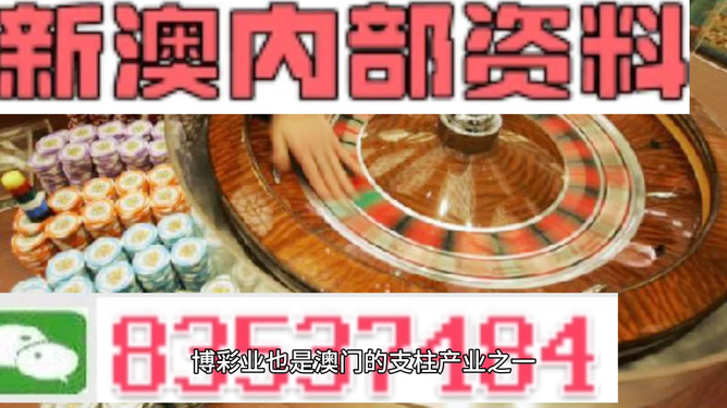 2025新澳精准正版资料，2025新澳正版资料解析
