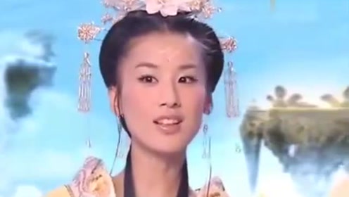 曾道道人综合资料免费大全——深度探索与解析，曾道道人综合资料大全，深度探索与解析免费版