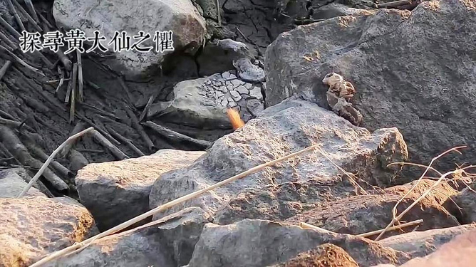 黄大仙最怕什么？揭秘传说中的神秘力量，揭秘黄大仙最怕的神秘力量，传说中的禁忌与恐惧之源