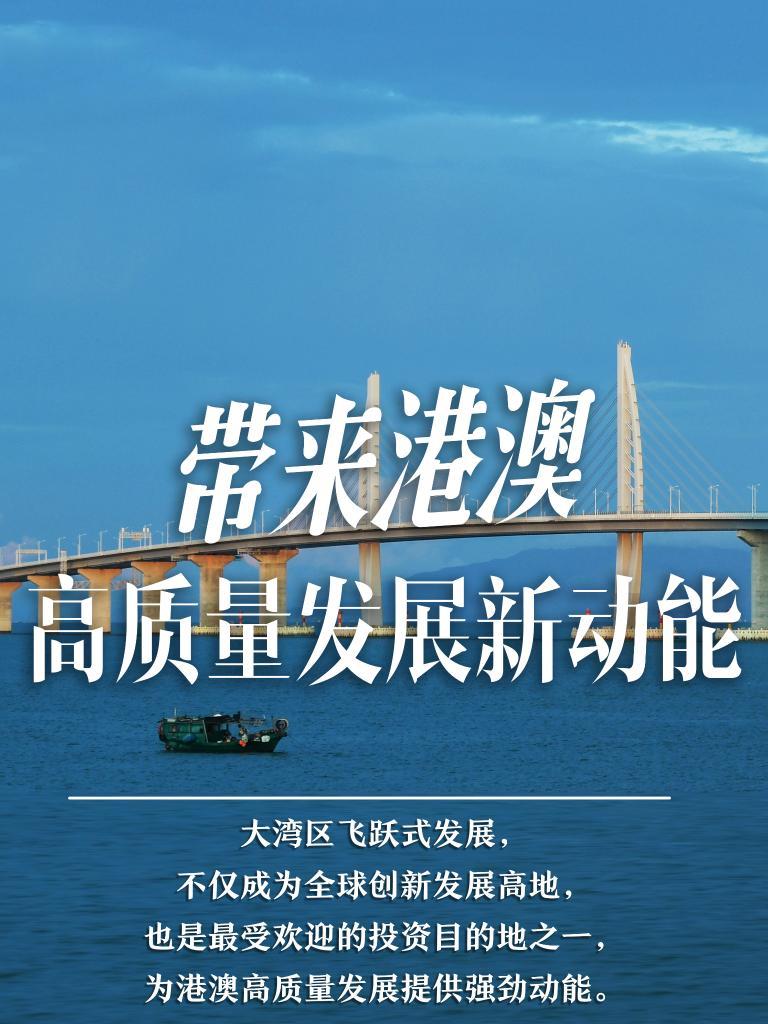 揭秘2025年新澳门必开37期一肖，一网打尽热门语言解读，揭秘新澳门未来三期生肖预测，一网打尽热门语言解读
