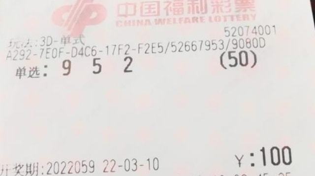 2025今晚开奖号码，2025今晚开奖号码预测与解析