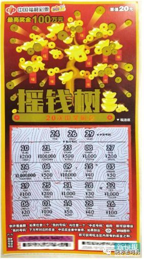 摇钱树三肖三码必中，摇钱树三肖三码必中秘诀揭秘