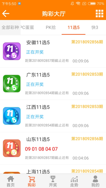 精准资料王中王六肖中特，揭秘精准资料的重要性与策略，揭秘精准资料的重要性与策略，王中王六肖中特资料解析
