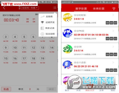 揭秘澳门天天开彩正版开奖结果——2025年的彩票盛宴，澳门彩票盛宴揭秘，天天开彩正版开奖结果展望2025年