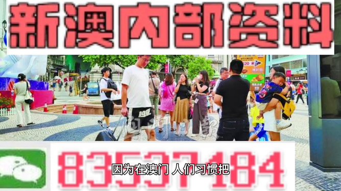 2025新澳门正版免费资料，澳门正版免费资料2025全新版