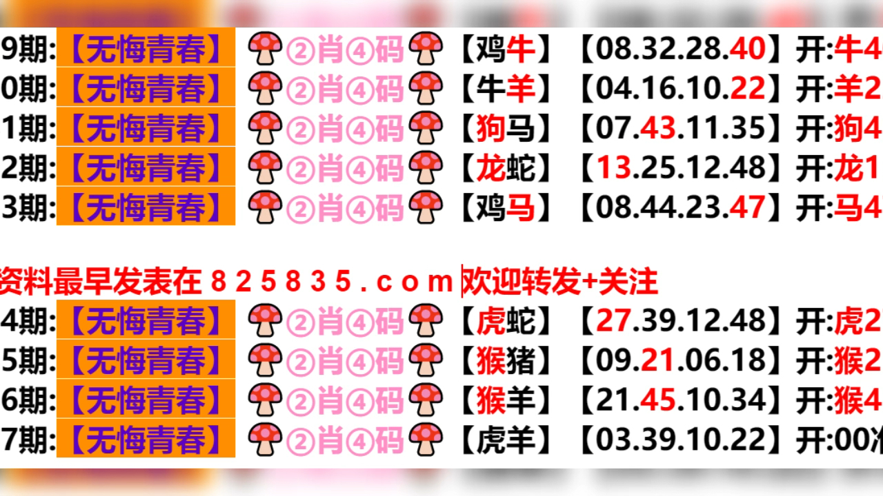 新奥门最新资料免费大揭秘，澳门最新资料免费公开大揭秘