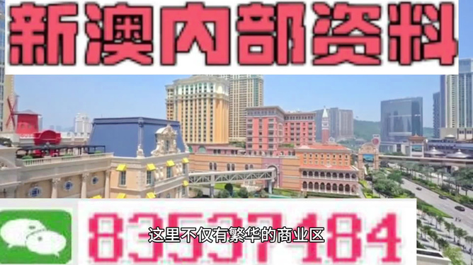 新奥新澳门正版资料，新澳门正版资料概览