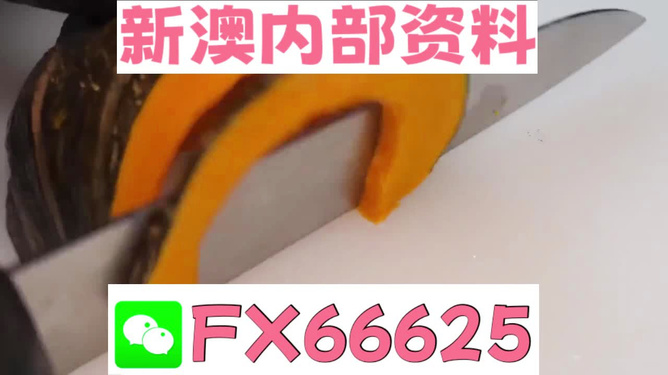 新澳门精准资料大全——管家婆料的探索之旅，澳门管家婆料探索之旅，揭秘精准资料大全
