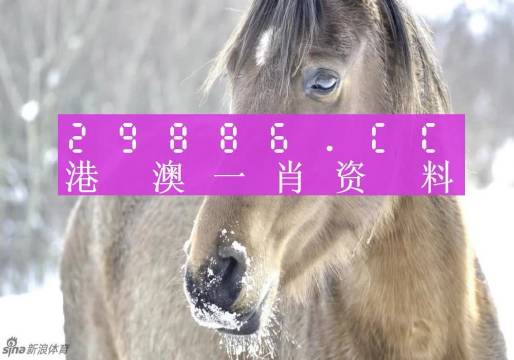 nieruihai 第9页
