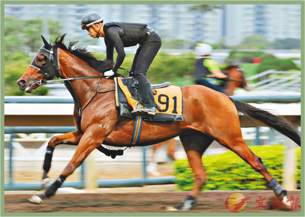 香港马资料更新最快的，香港最新马匹资料更新速递
