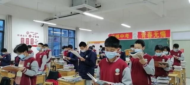 二四六天天免费资料结果，二四六天天免费资料大揭秘